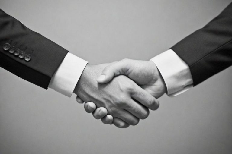 Zwei Hände schütteln sich in einem formellen, schwarz-weißen Kontext.